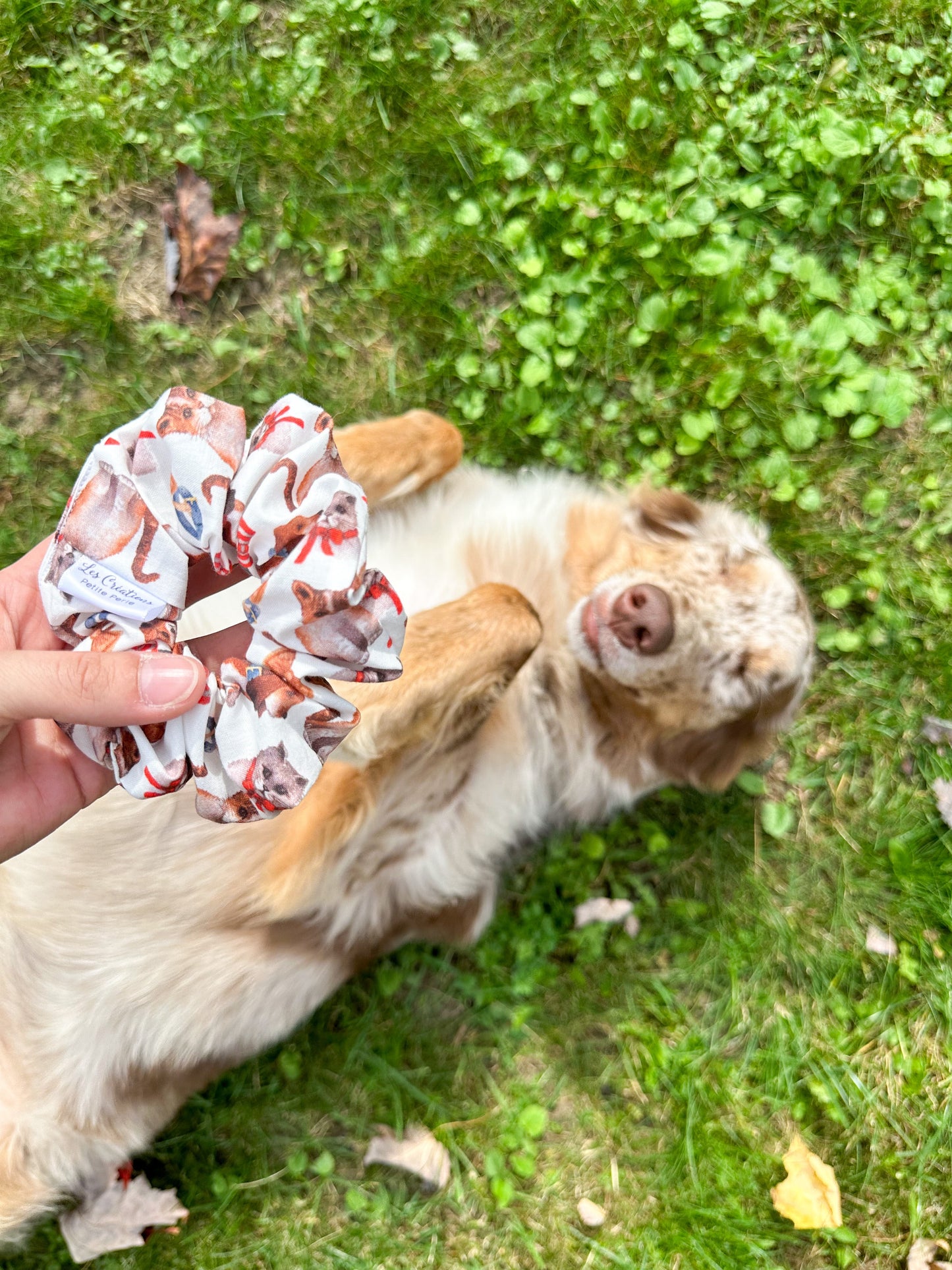 Chouchou XL Santé Animale